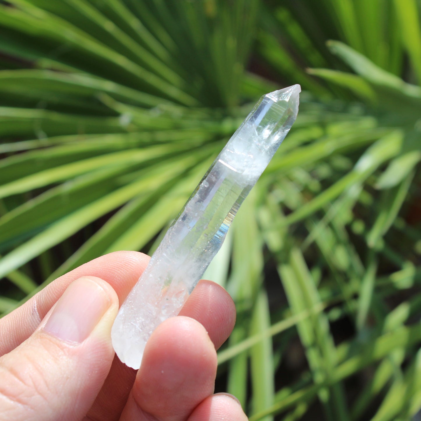 Clear Quartz Natural Small Crystal Point