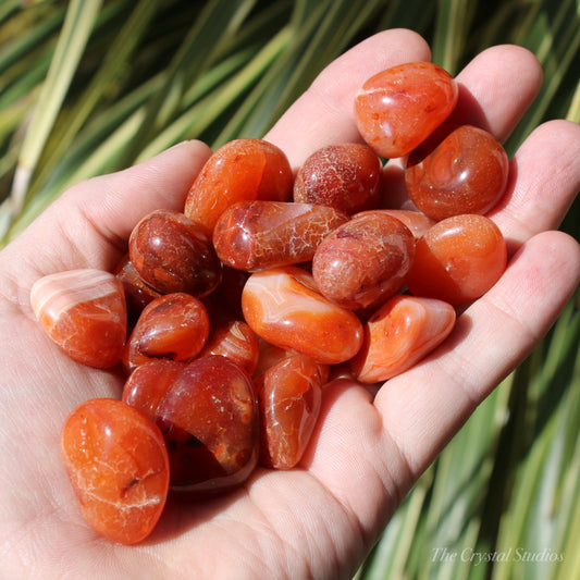 Carnelian A+ Polished Crystal Tumblestones