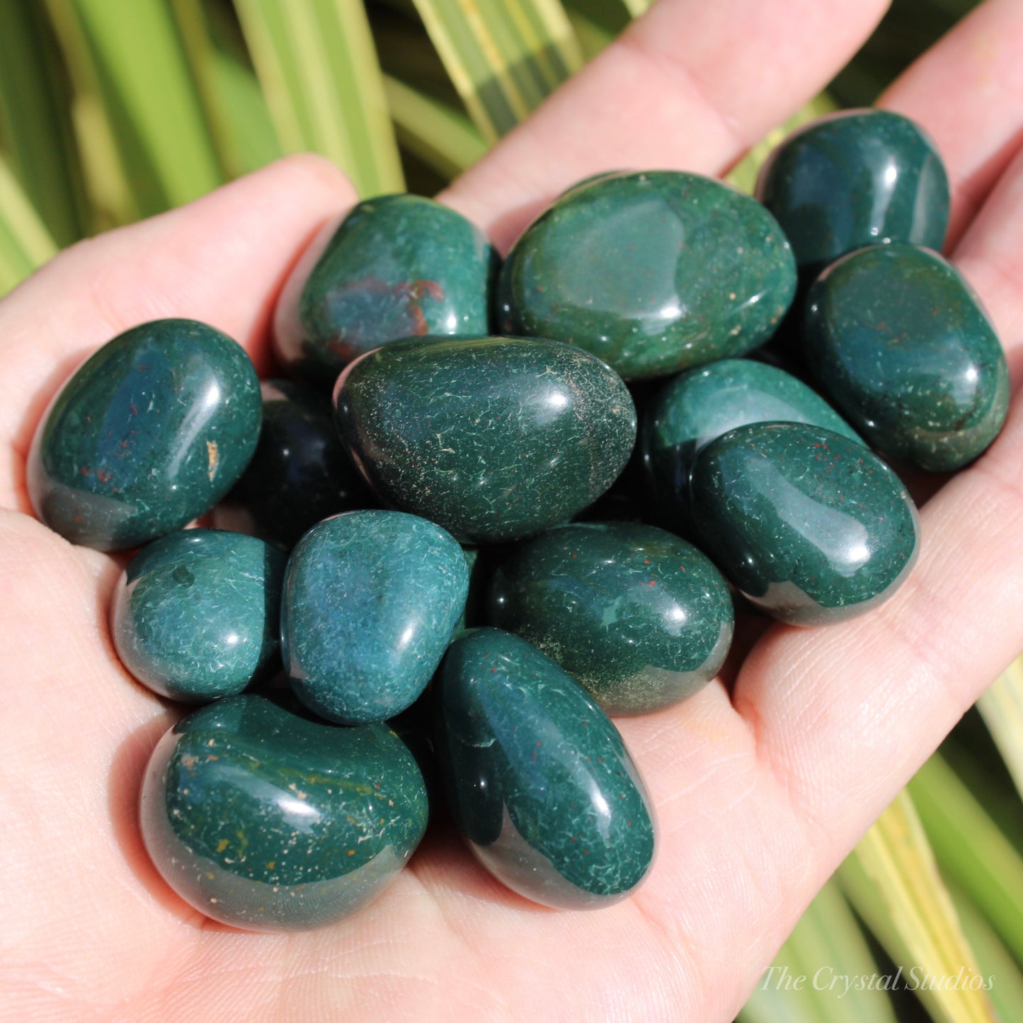 Bloodstone Polished Crystal Tumblestones