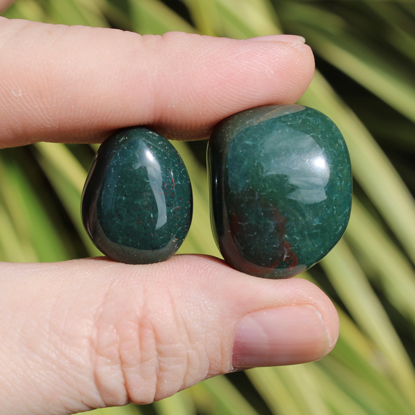 Bloodstone Polished Crystal Tumblestones