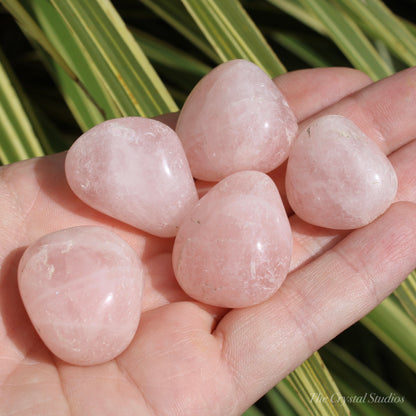 Rose Quartz B Grade Large Polished Crystal Tumblestone