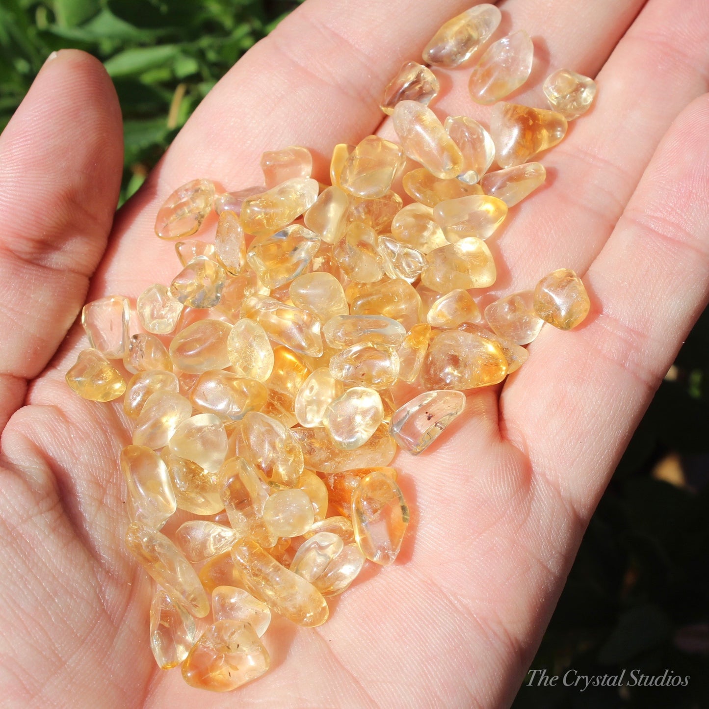 Citrine (Heat Treated) Tumbled Mini Crystals Set