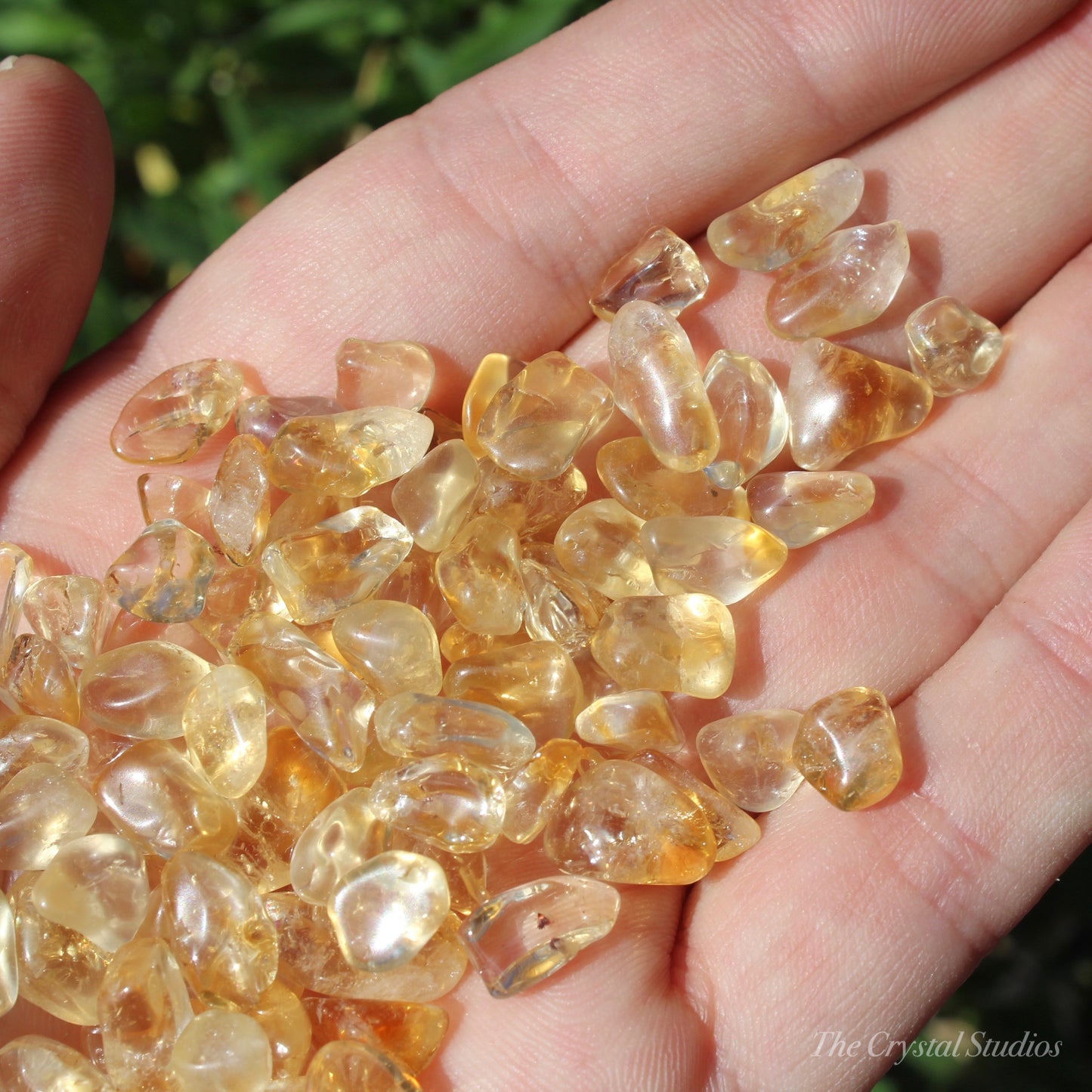 Citrine (Heat Treated) Tumbled Mini Crystals Set