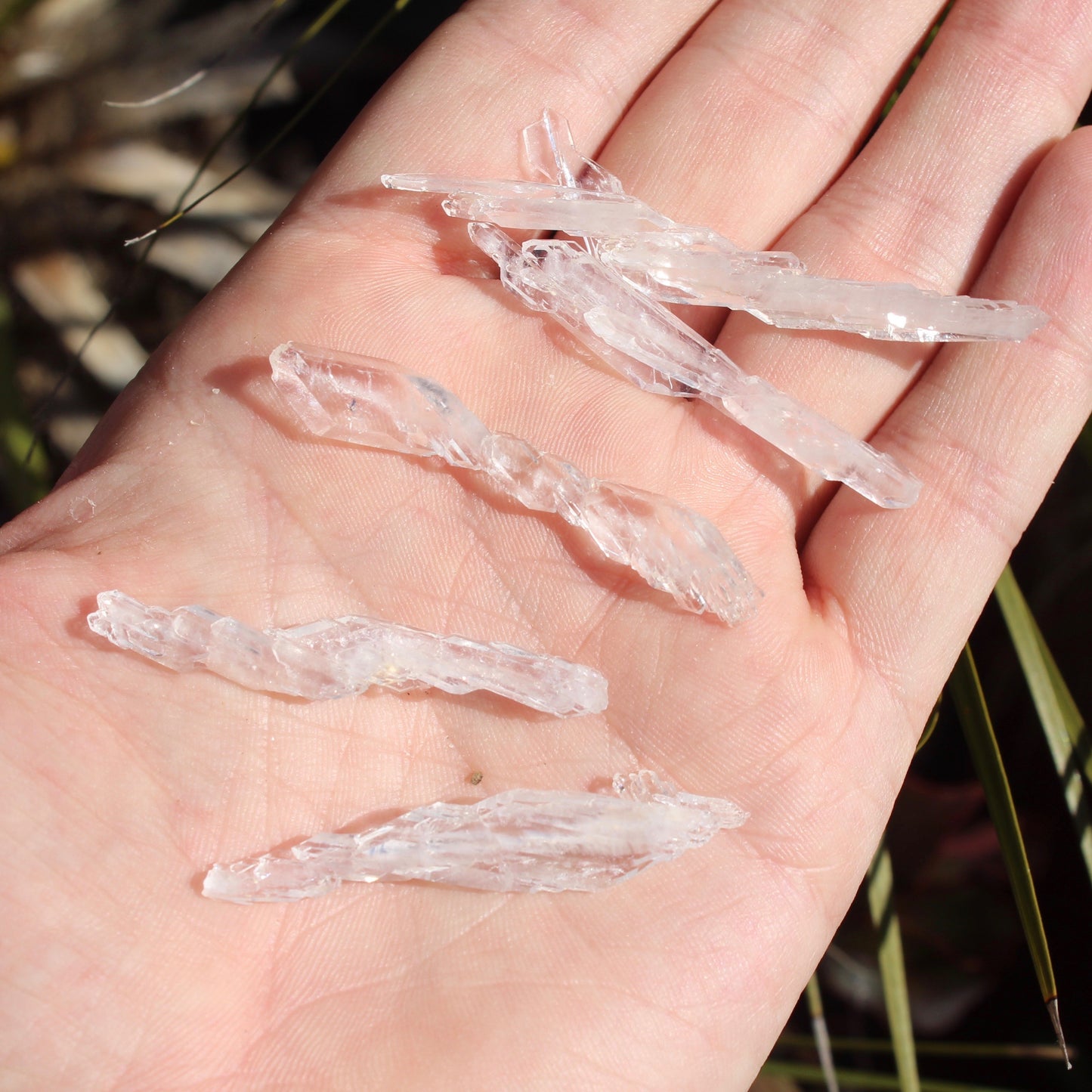 Faden Quartz Natural Crystals