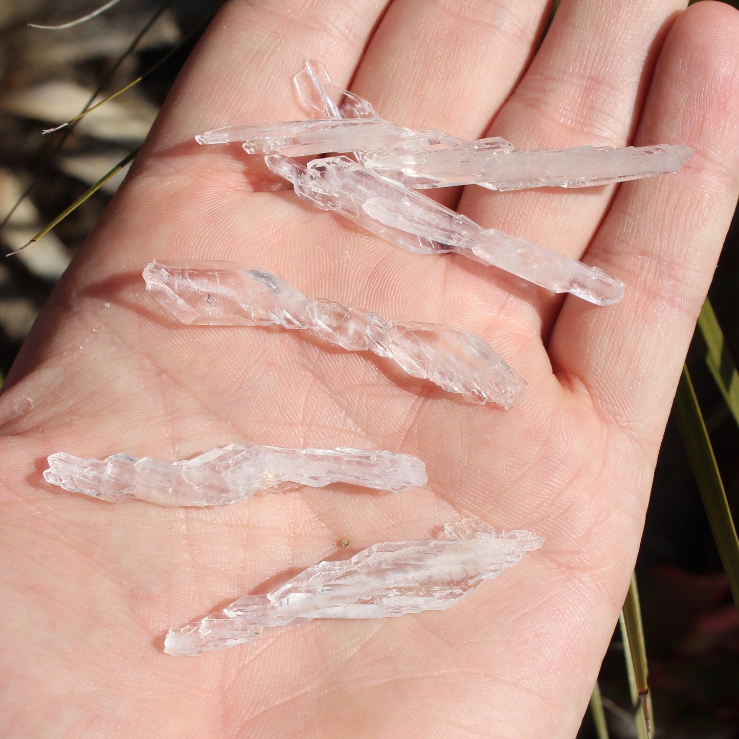 Faden Quartz Natural Crystals