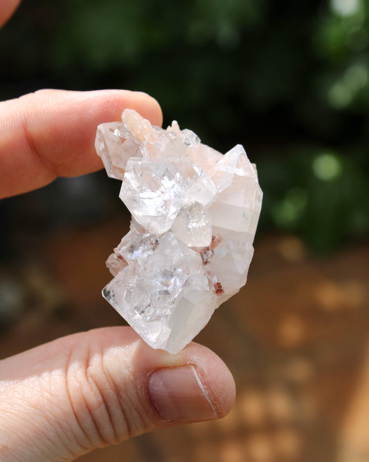 Apophyllite with Stilbite Natural Crystal Cluster