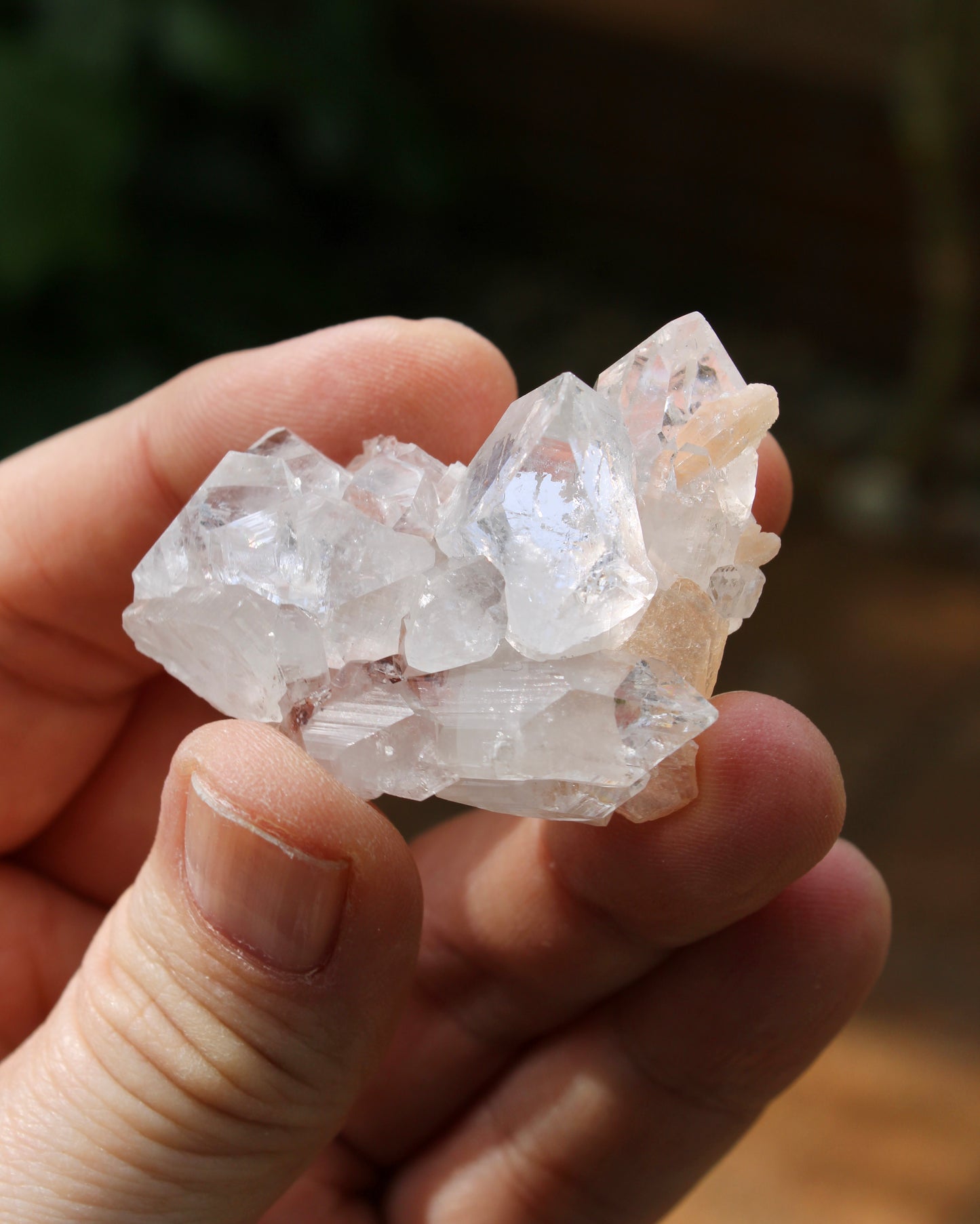 Apophyllite with Stilbite Natural Crystal Cluster