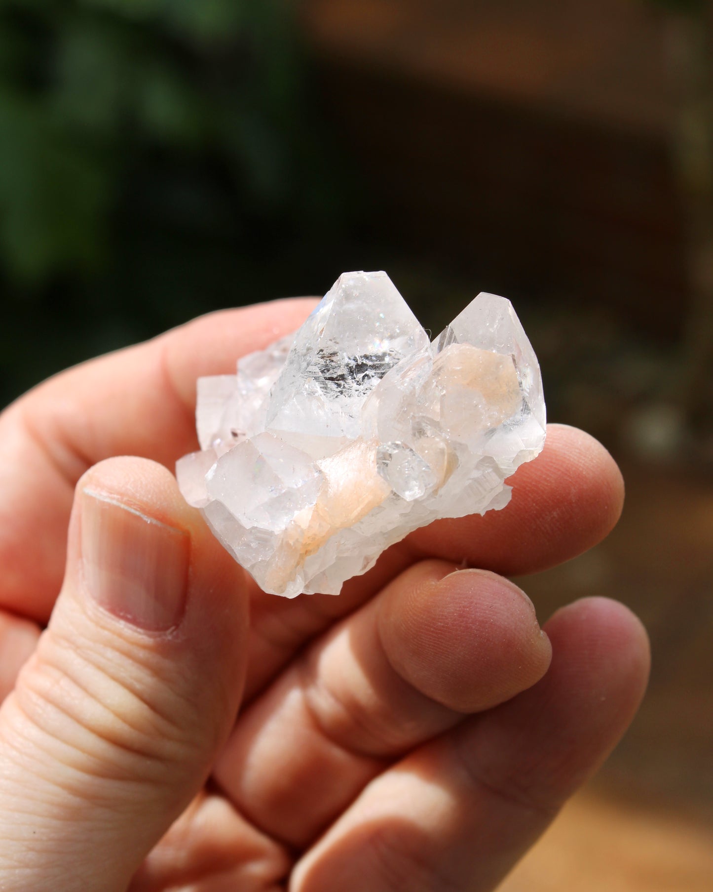 Apophyllite with Stilbite Natural Crystal Cluster