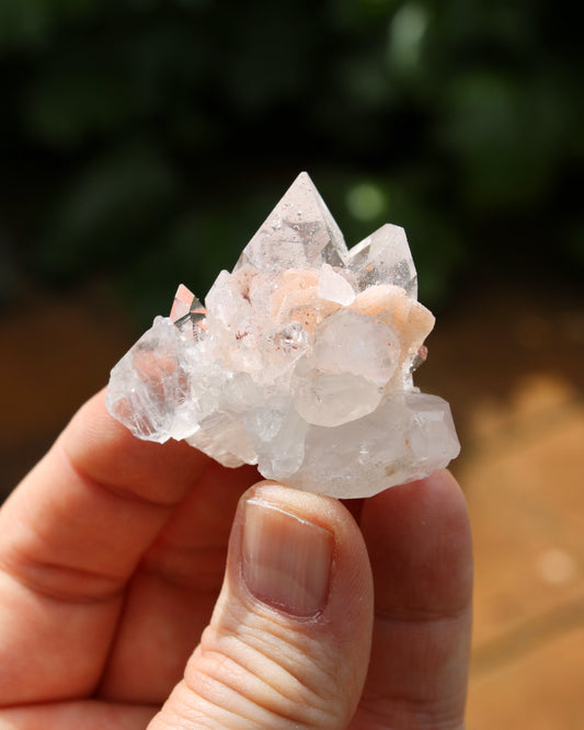 Apophyllite with Stilbite Natural Crystal Cluster