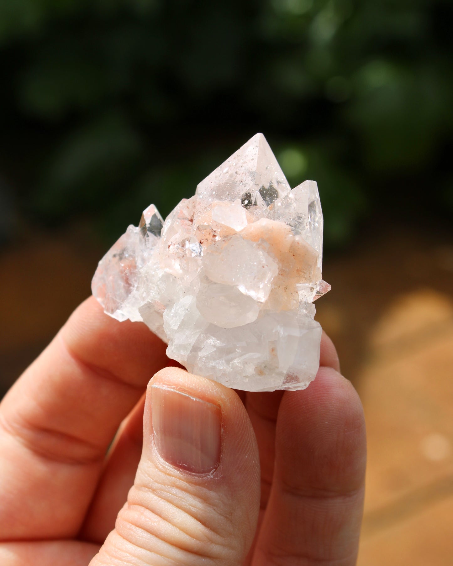 Apophyllite with Stilbite Natural Crystal Cluster