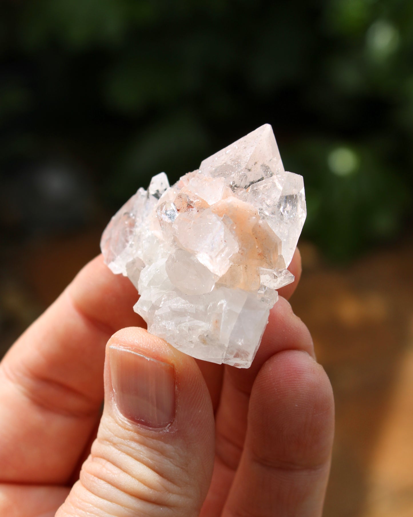 Apophyllite with Stilbite Natural Crystal Cluster