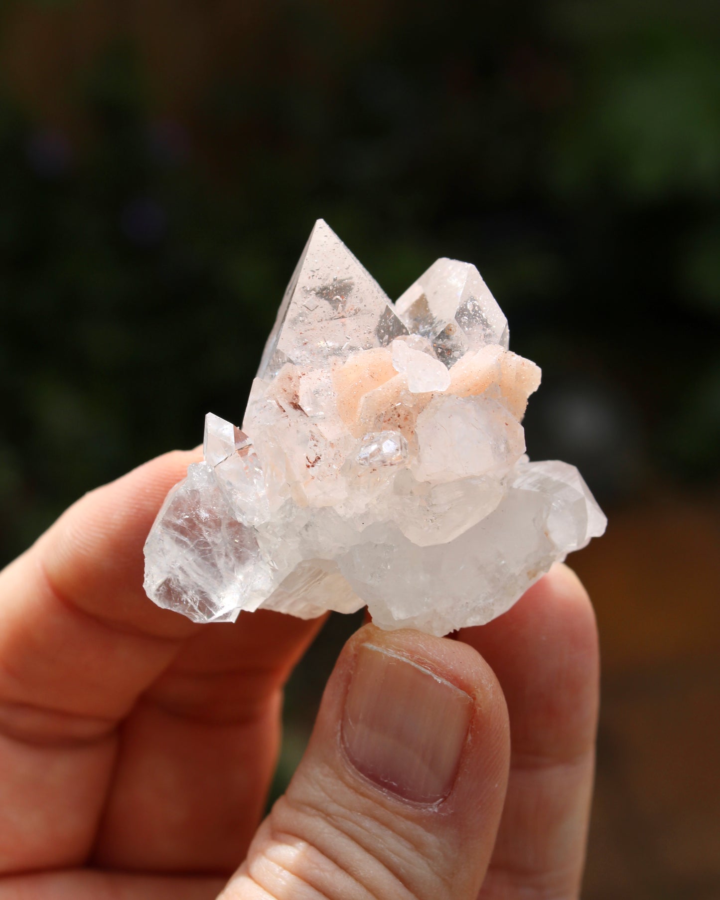 Apophyllite with Stilbite Natural Crystal Cluster