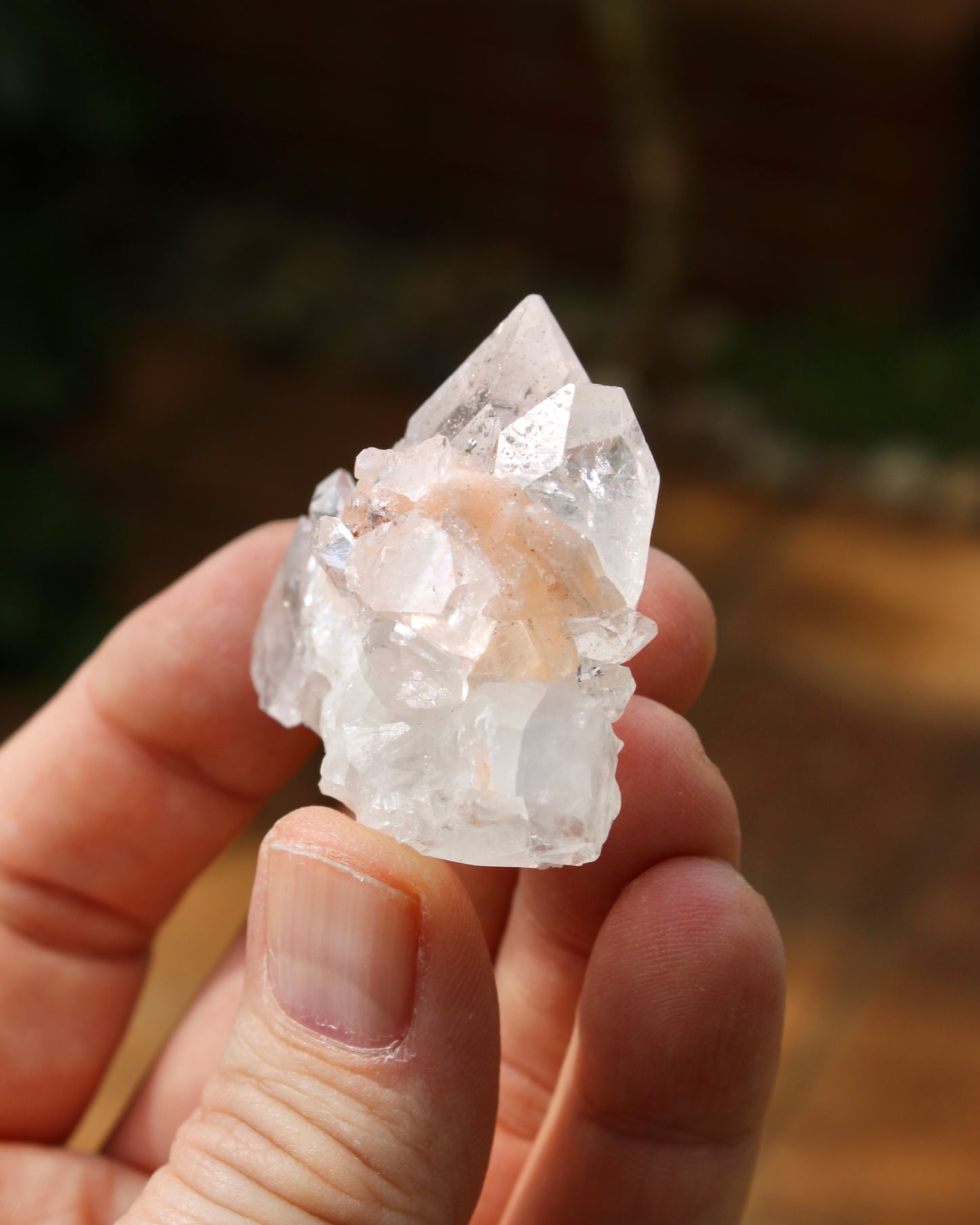 Apophyllite with Stilbite Natural Crystal Cluster