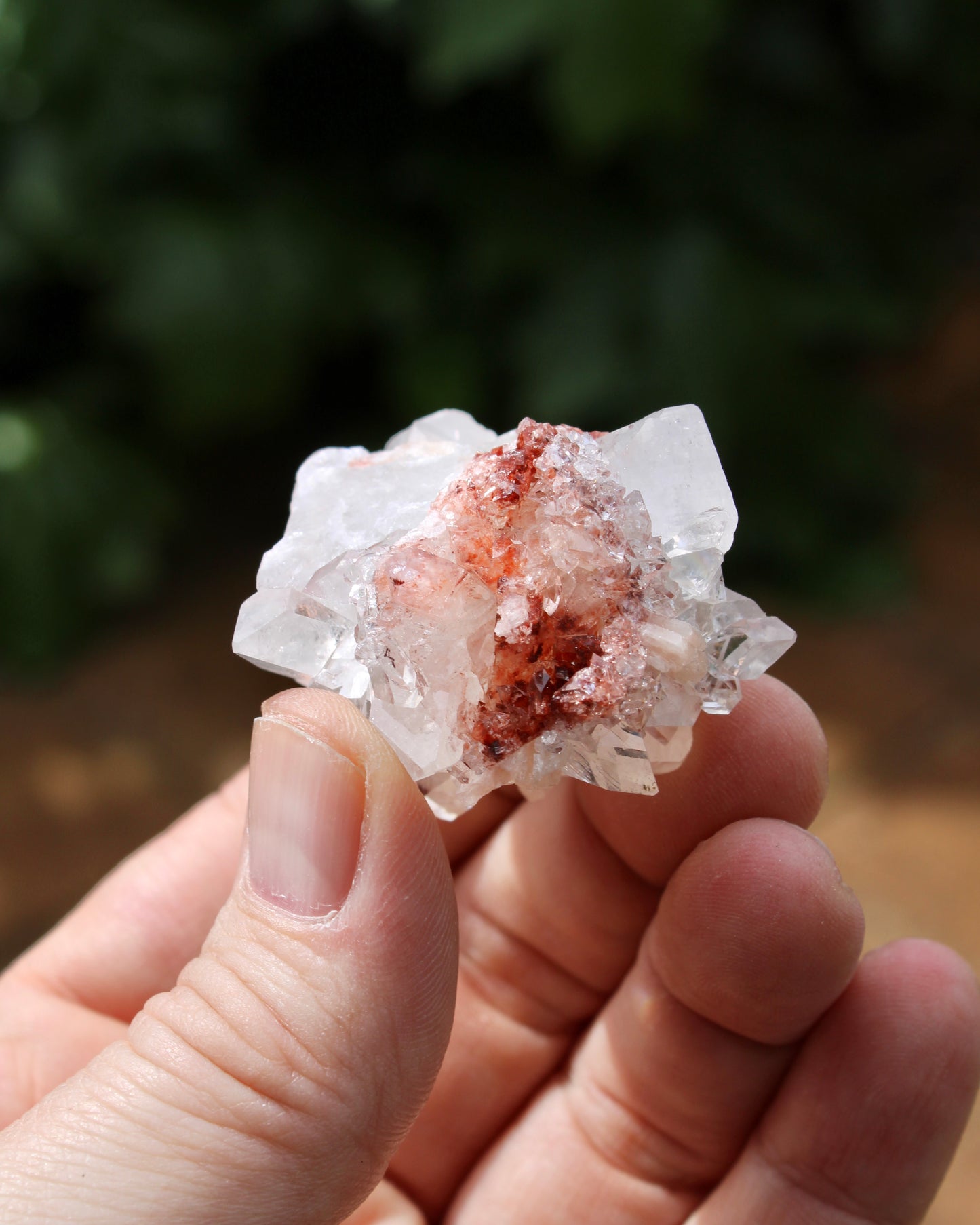 Apophyllite with Stilbite & Heulandite Natural Crystal Cluster