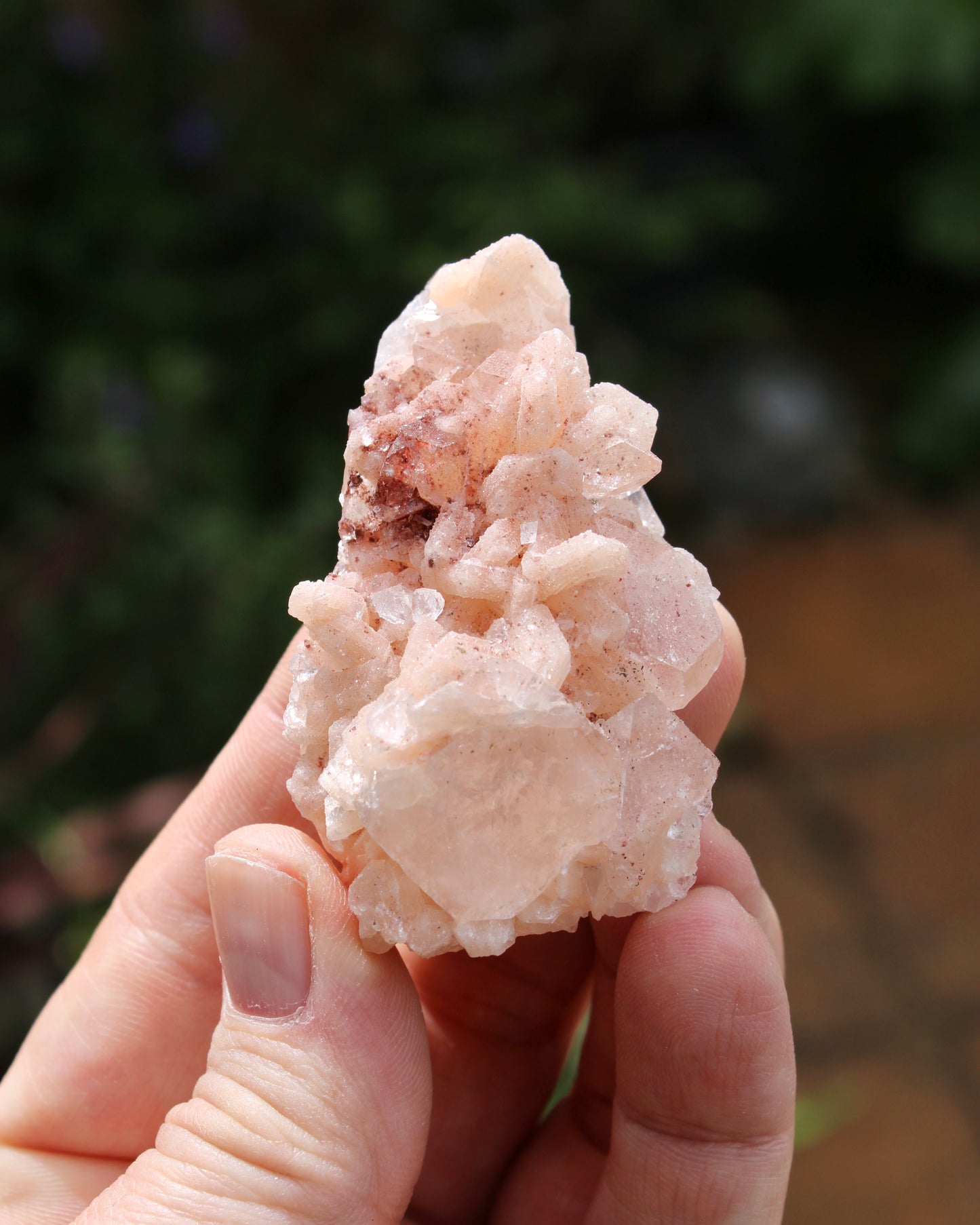 Apophyllite with Stilbite & Heulandite Natural Crystal Cluster