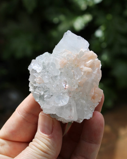 Apophyllite with Stilbite Natural Crystal Cluster