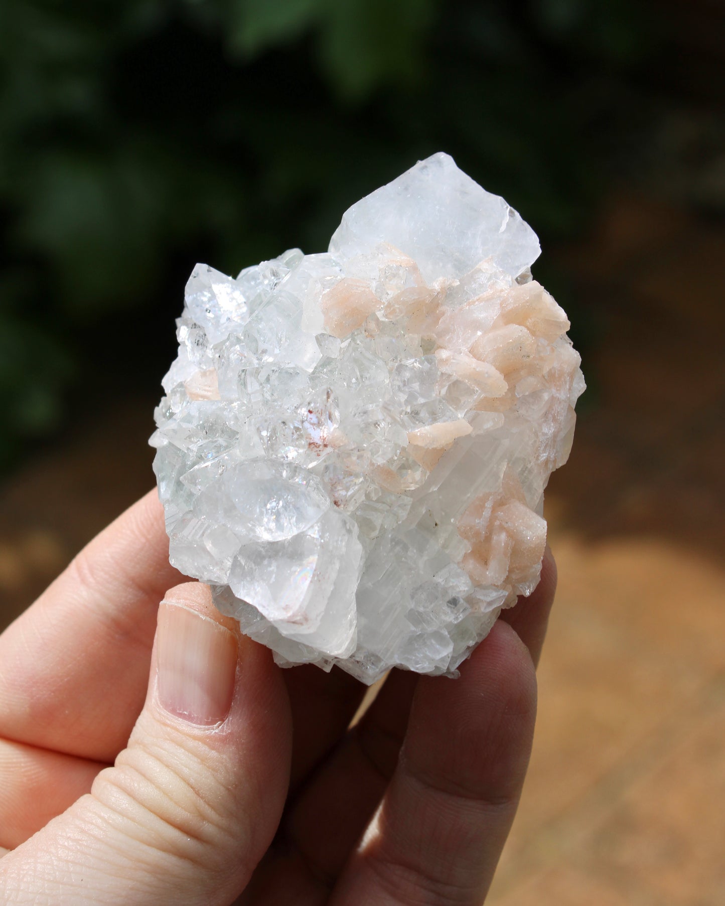 Apophyllite with Stilbite Natural Crystal Cluster