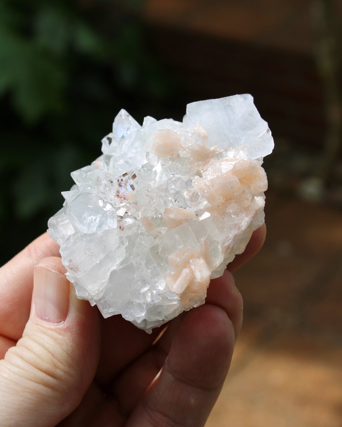 Apophyllite with Stilbite Natural Crystal Cluster