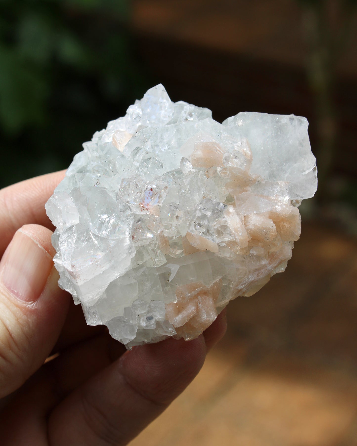 Apophyllite with Stilbite Natural Crystal Cluster