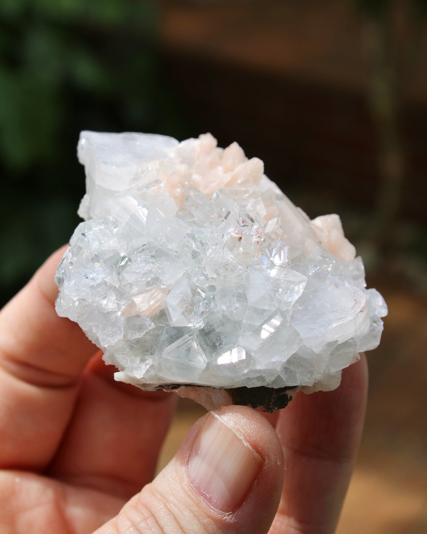 Apophyllite with Stilbite Natural Crystal Cluster