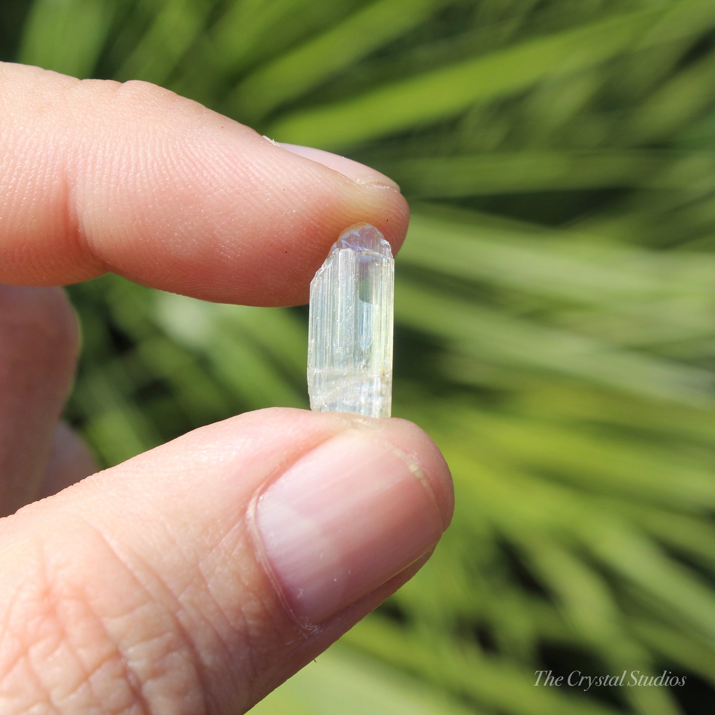 Diaspore Natural Crystal