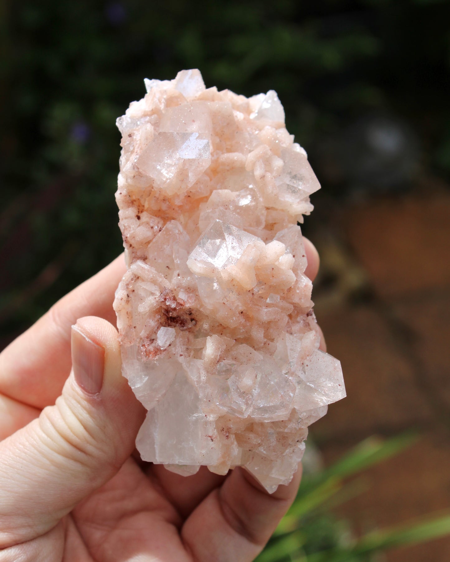 Apophyllite with Stilbite & Heulandite Natural Crystal Cluster