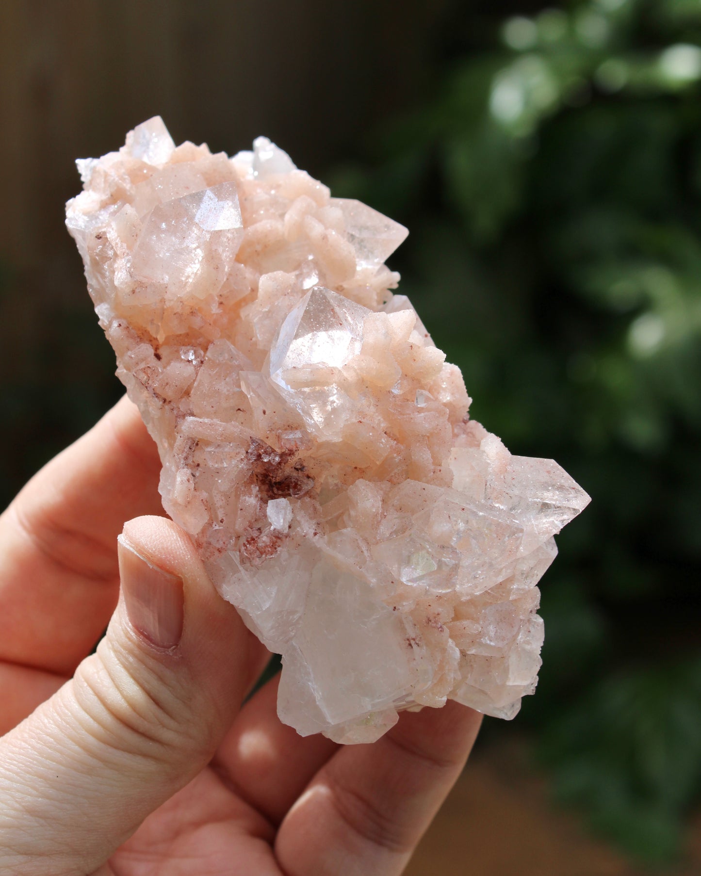 Apophyllite with Stilbite & Heulandite Natural Crystal Cluster