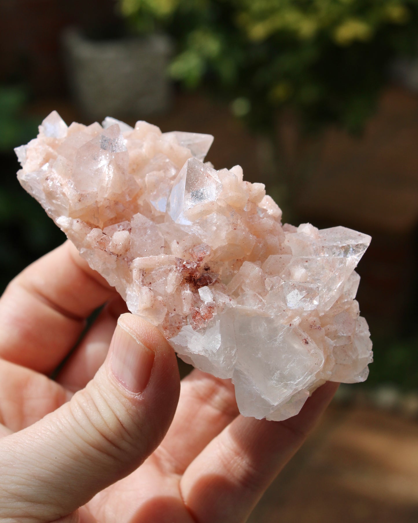 Apophyllite with Stilbite & Heulandite Natural Crystal Cluster