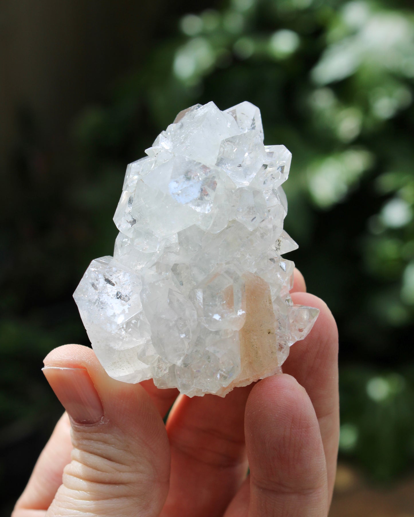 Apophyllite with Stilbite Stalactite Natural Crystal Cluster