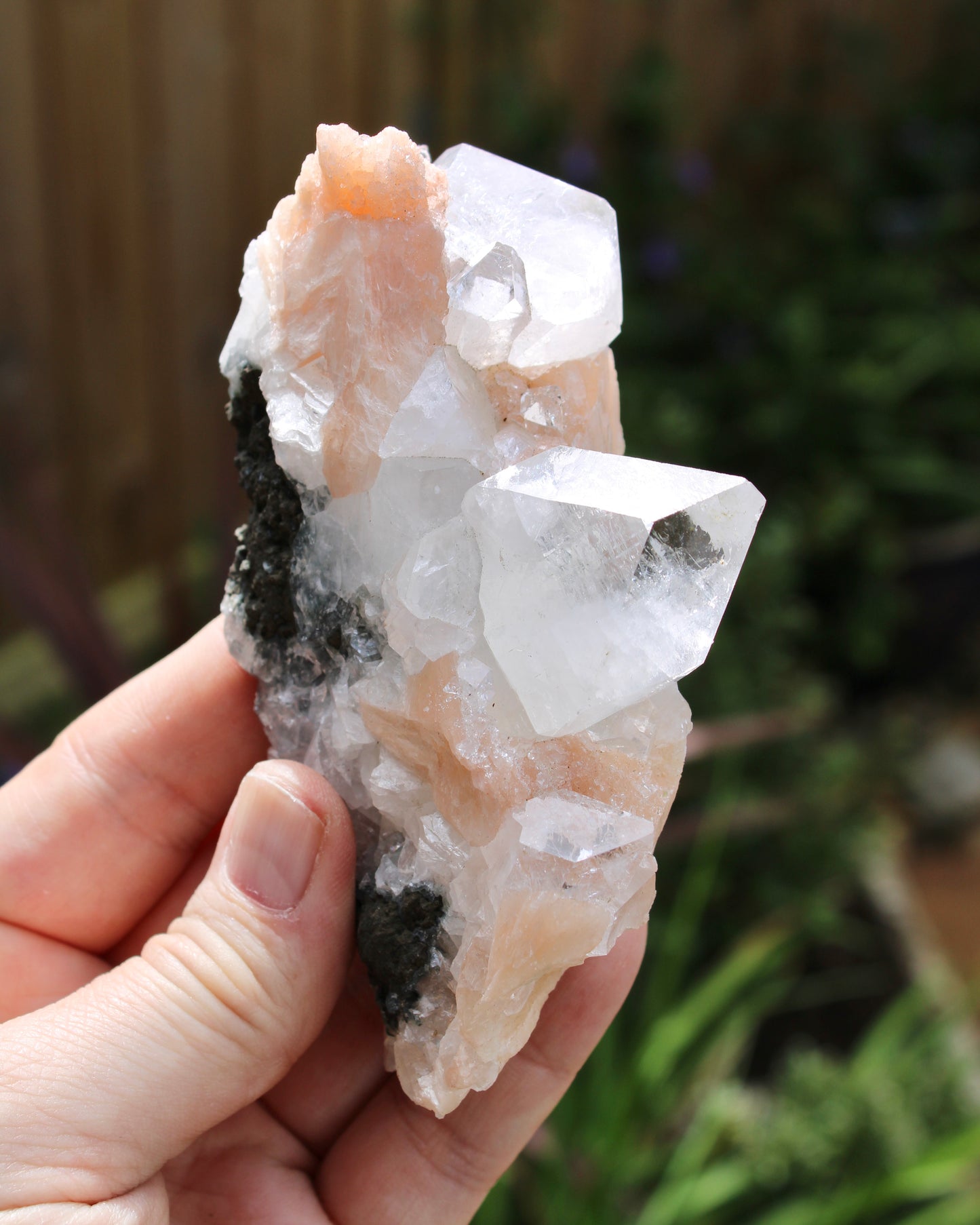 Apophyllite with Stilbite Natural Crystal Cluster