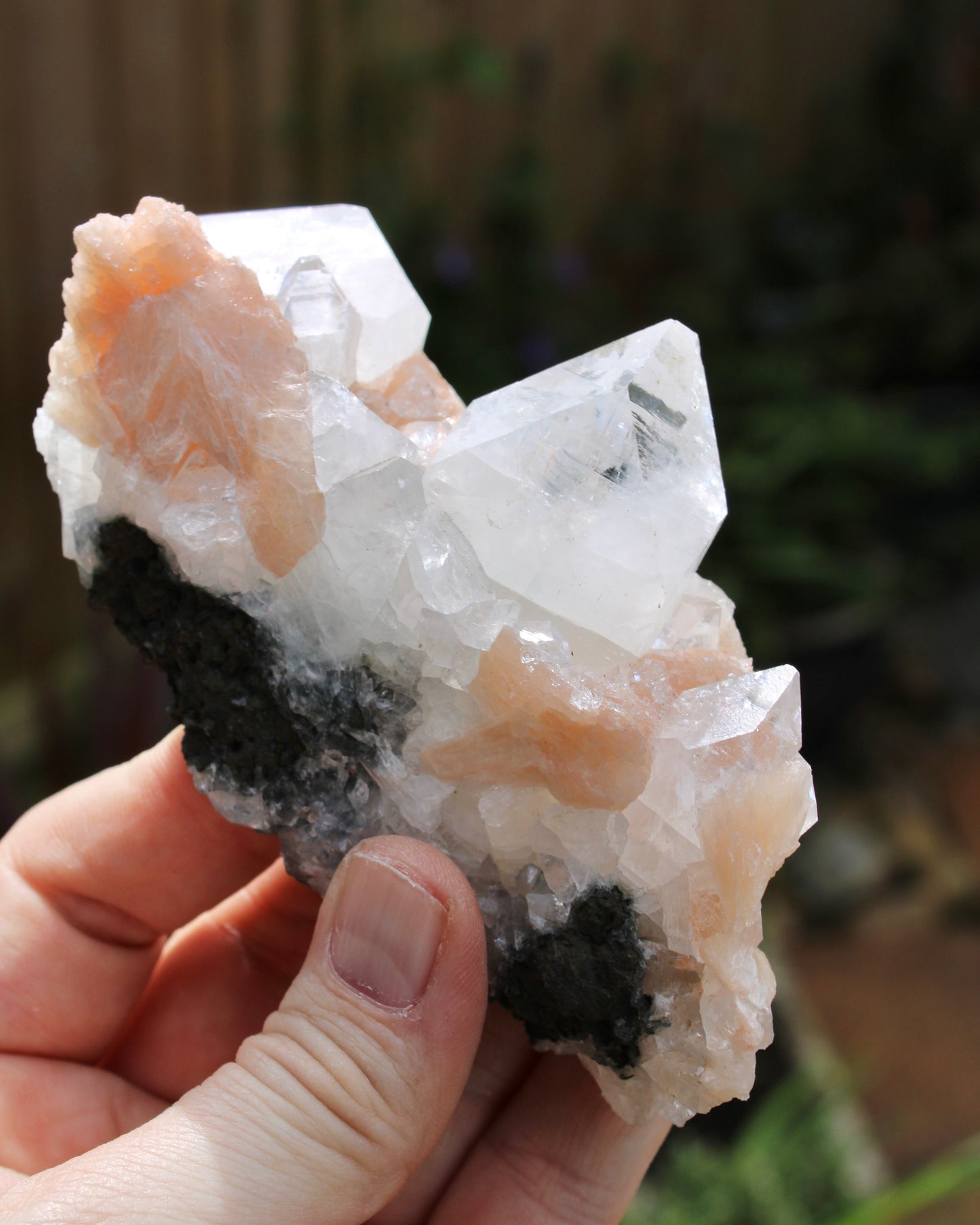 Apophyllite with Stilbite Natural Crystal Cluster