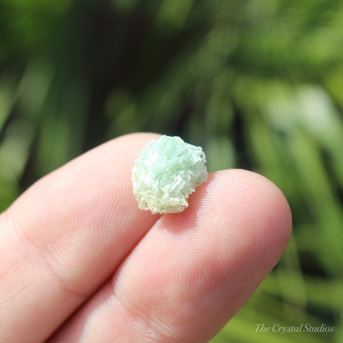 Green Selenite Mini Natural Crystal Cluster