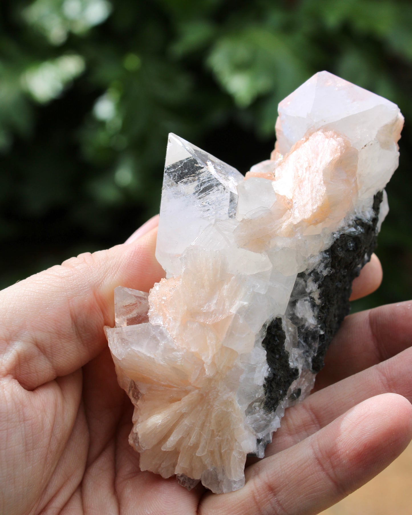 Apophyllite with Stilbite Natural Crystal Cluster