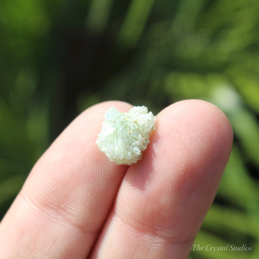 Green Selenite Mini Natural Crystal Cluster