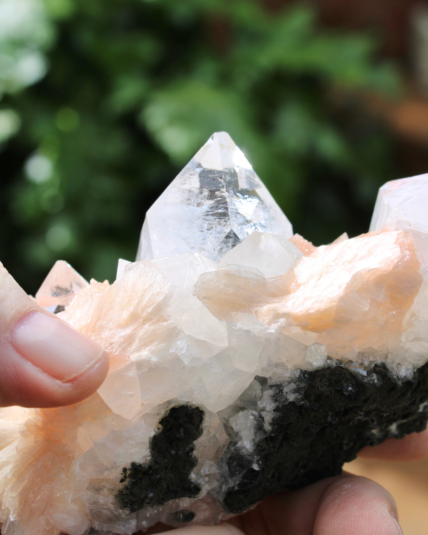 Apophyllite with Stilbite Natural Crystal Cluster