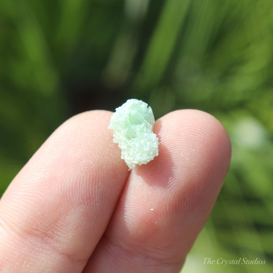 Green Selenite Mini Natural Crystal Cluster