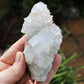 Apophyllite with Stilbite Natural Crystal Cluster