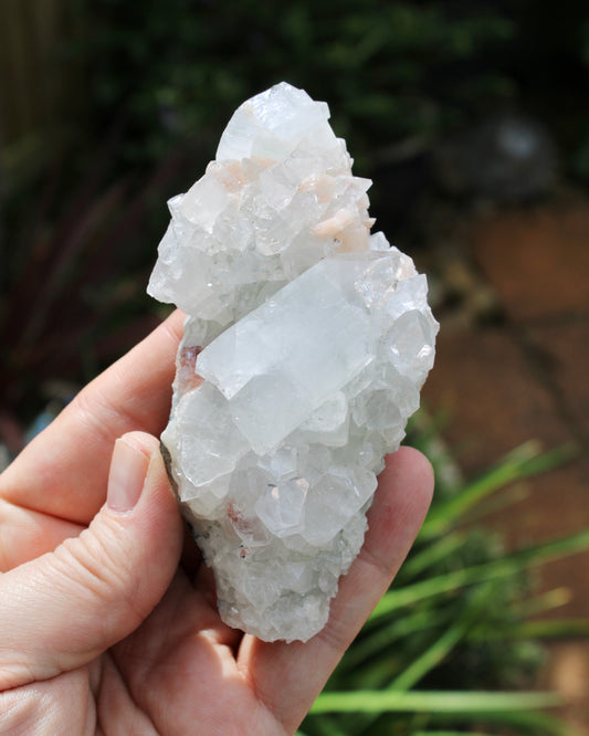 Apophyllite with Stilbite Natural Crystal Cluster