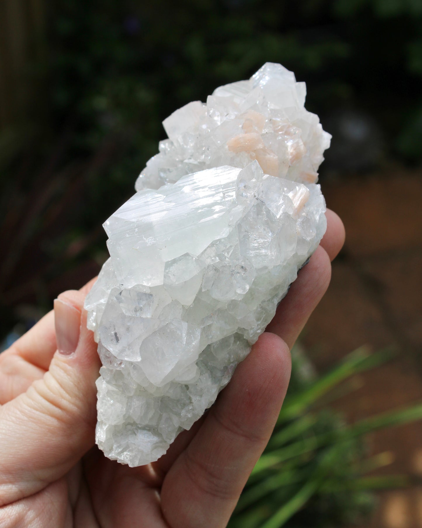 Apophyllite with Stilbite Natural Crystal Cluster