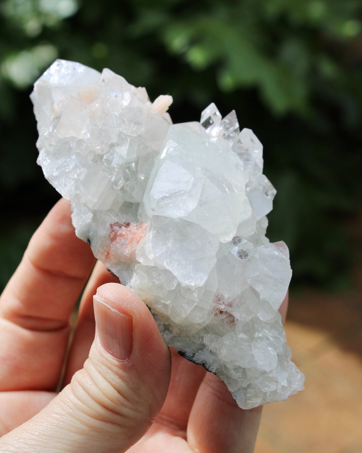 Apophyllite with Stilbite Natural Crystal Cluster