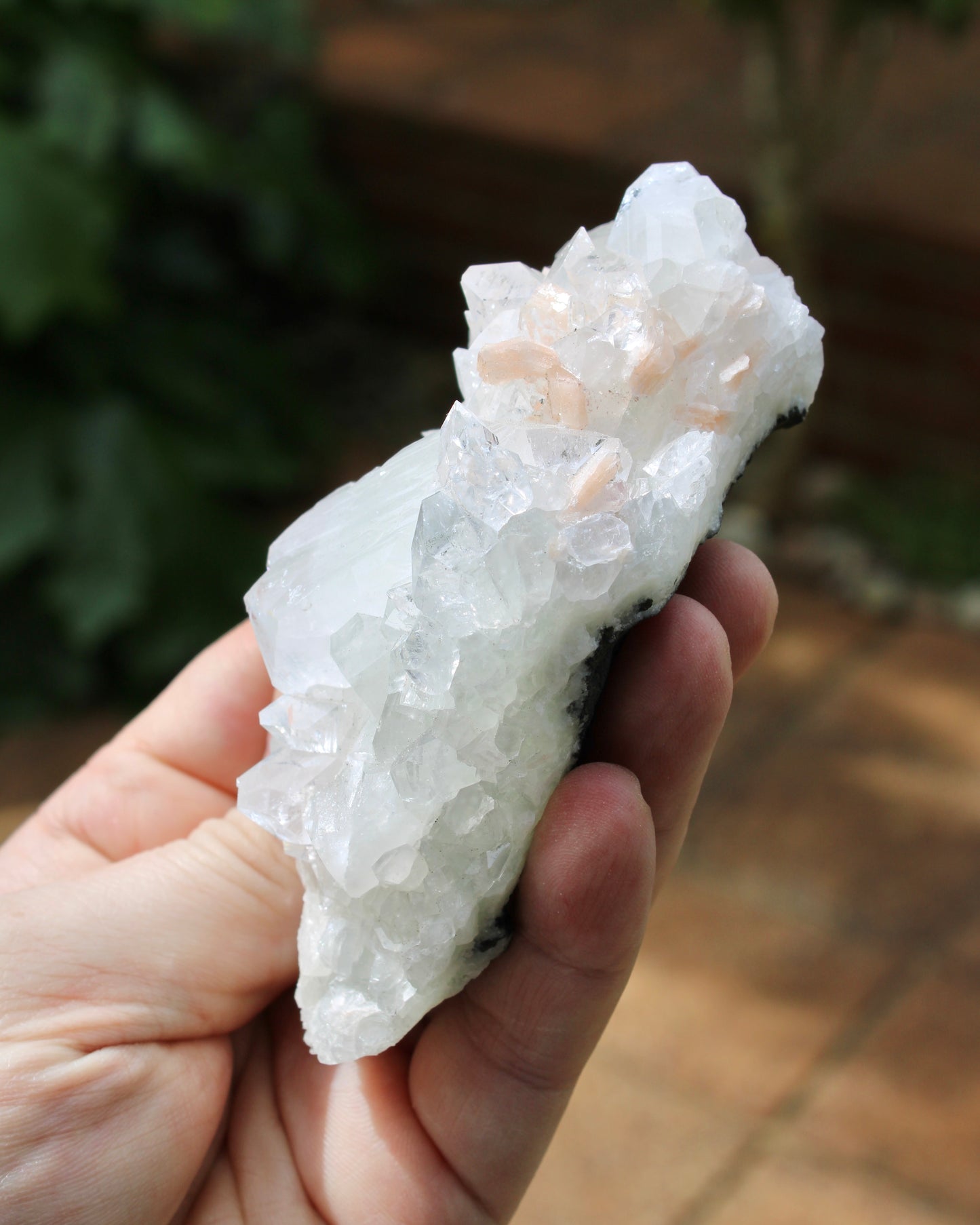 Apophyllite with Stilbite Natural Crystal Cluster