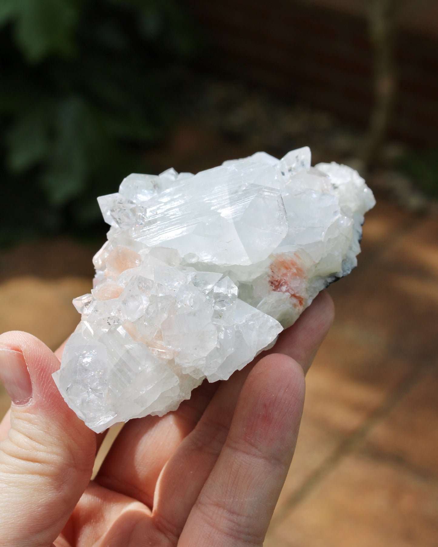 Apophyllite with Stilbite Natural Crystal Cluster