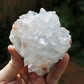 Apophyllite with Stilbite Natural Crystal Cluster