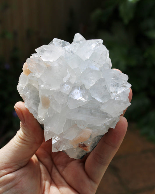 Apophyllite with Stilbite Natural Crystal Cluster