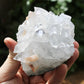 Apophyllite with Stilbite Natural Crystal Cluster