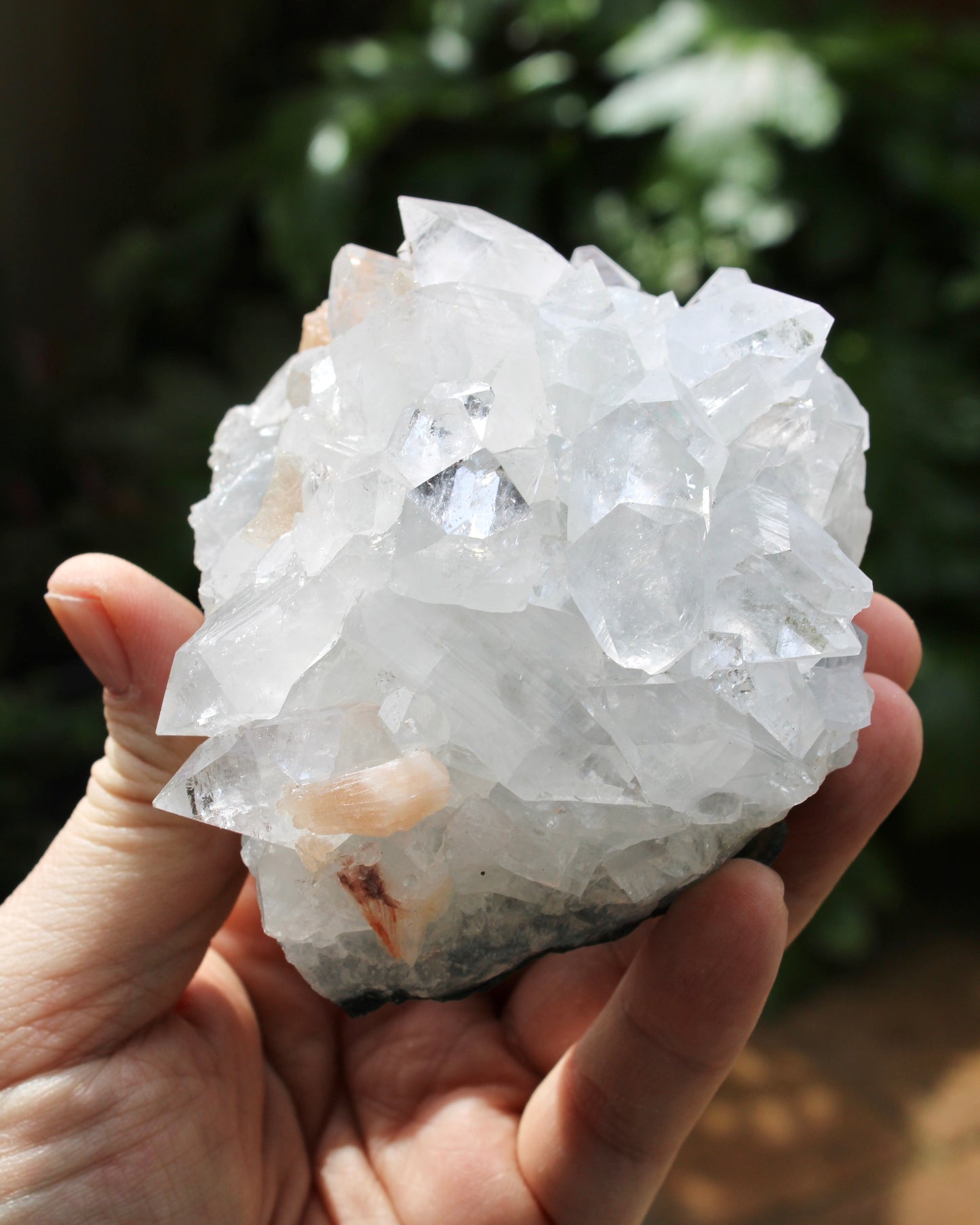 Apophyllite with Stilbite Natural Crystal Cluster