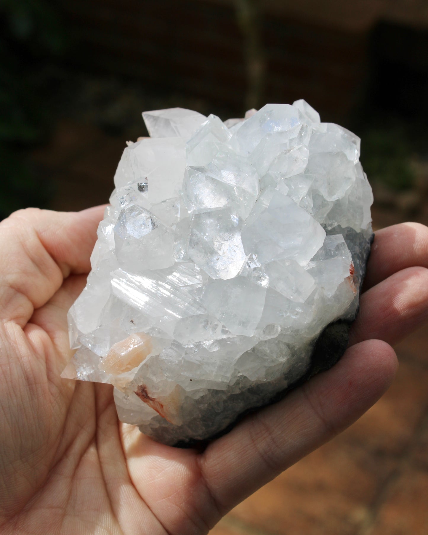 Apophyllite with Stilbite Natural Crystal Cluster