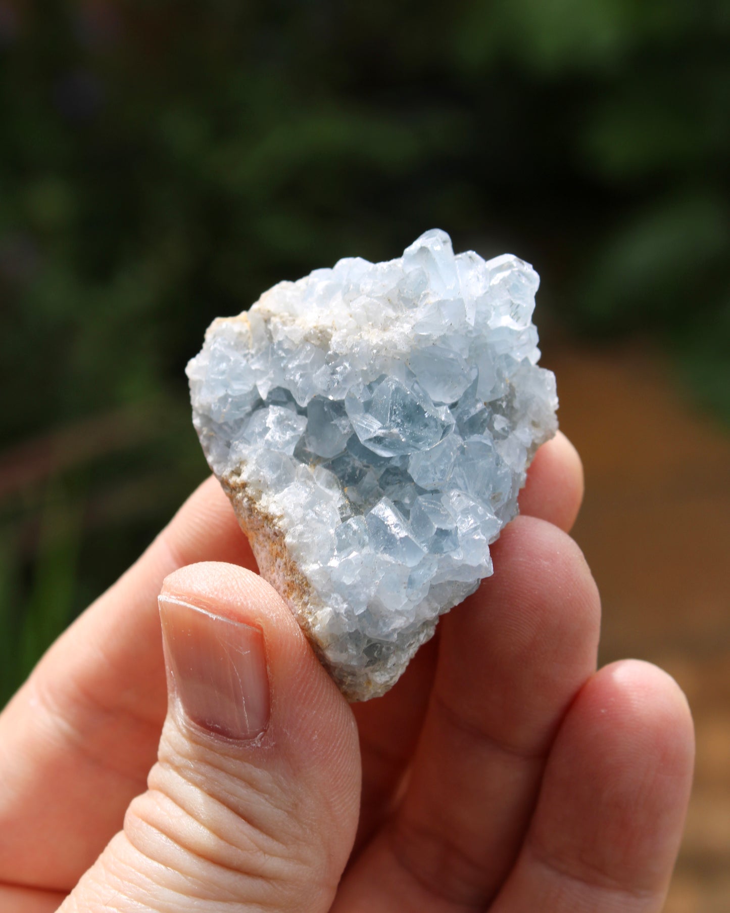 Celestite Natural Small Crystal Cluster