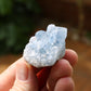 Celestite Natural Small Crystal Cluster