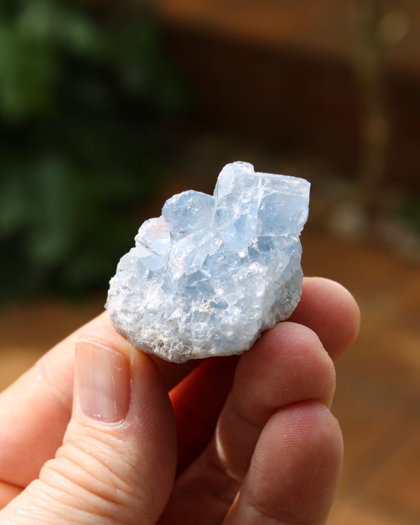 Celestite Natural Small Crystal Cluster